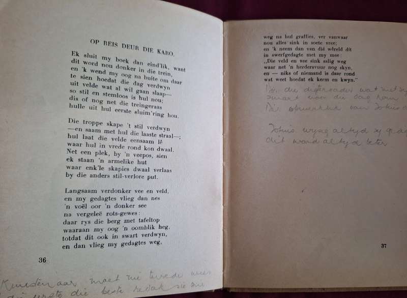 Passieblomme - Totius 1936 2nd Impression Very Rare/ Afrikaans poetry