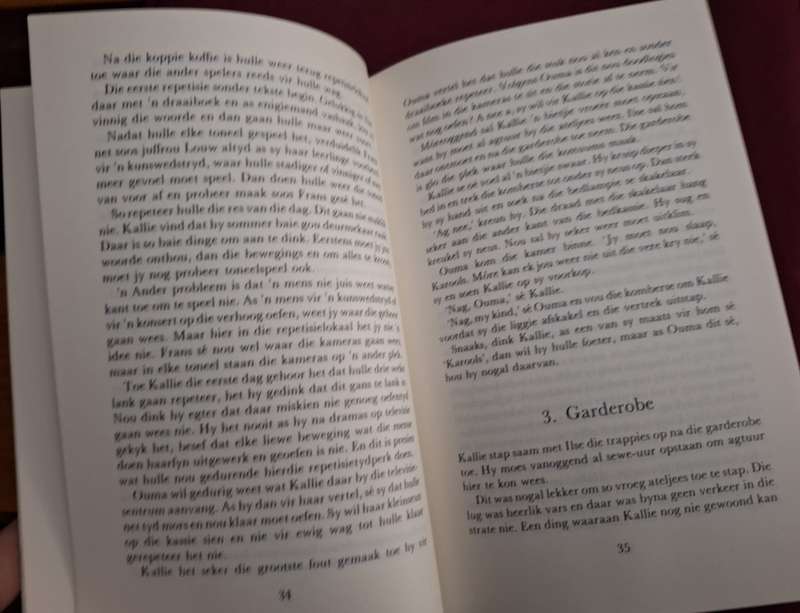 Televisie 123-Willie Esterhuizen-1982 1st edition. Afrikaans Text. Rare
