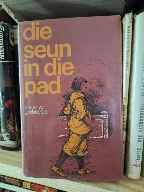 die seun in die pad-pieter w grobbelaar- 1971 1st edition. Afrikaans Text.