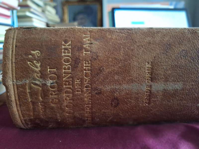 Van Dale's GROOT WOORDENBOEK DER NEDEDLANDCHE TAAL -1924- Martinus Nijhoff/AW Sijthoff's