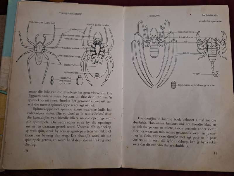 Spinnekoppe en Skerpioene/Die Diereryk-Reeks/JL Cloudsley-Thompson -1972 1st edition/ Afrikaans Text