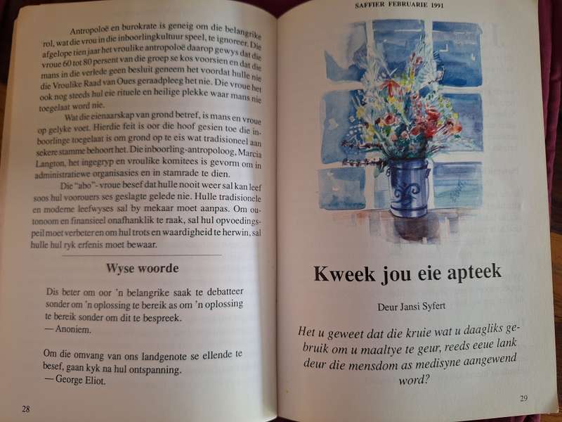 SAFFIER-Februarue 1991/ Grootdruk/Joan Kruger-Afrikaans text