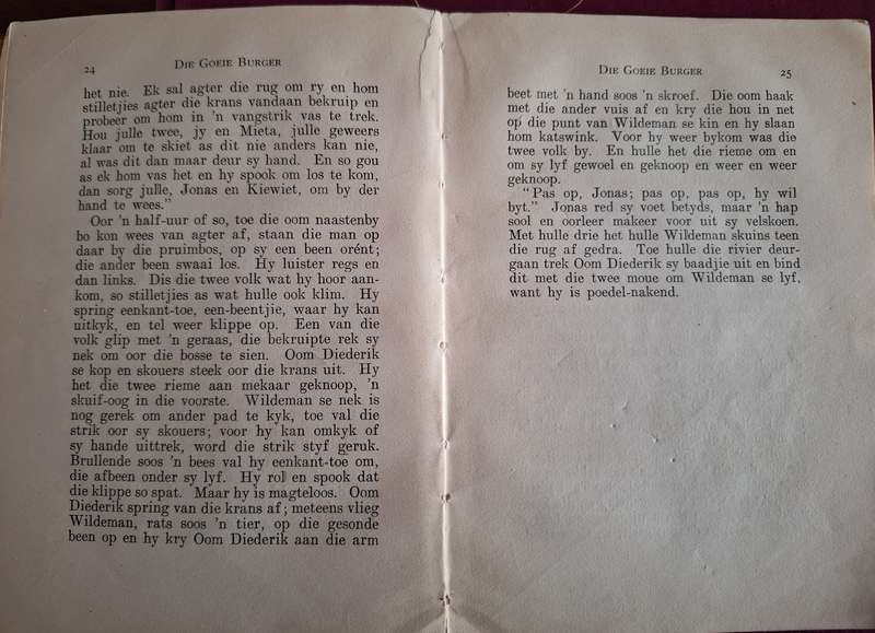 CJ LANGENHOVEN-Die goeie burger-1928 first edition rare-self-lees-serie / Afrikaans