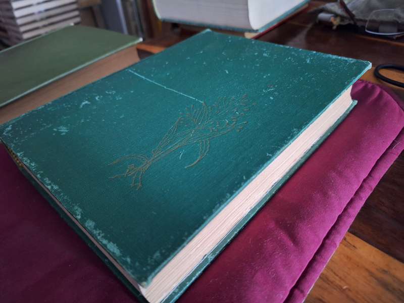 The GRASSES and PASTURES of SOUTH AFRICA 1955 first edition.