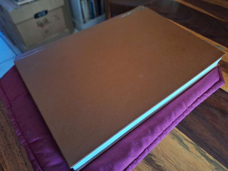 DIE PASTORALE SORG VAN DIE KIND - Emosionele egskeiding/geskeide huis -Thesis DR BA Muller 1975