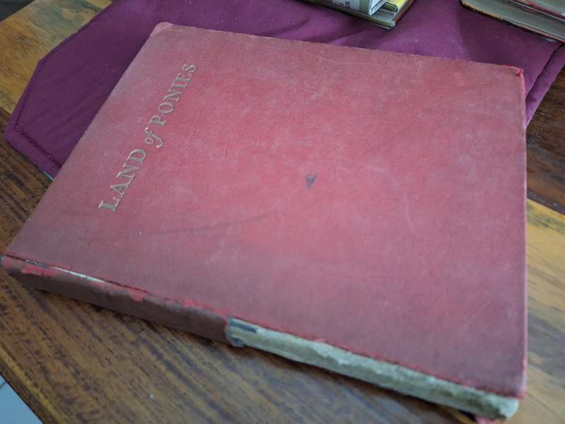 LAND OF PONIES by Marjorie Mary Oliver illustrated by Charlotte Hough - 1951 first edition