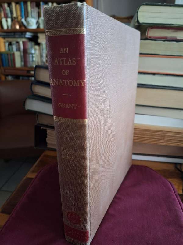 AN ATLAS OF ANATOMY - GRANT - fourth edition. Rare.1956
