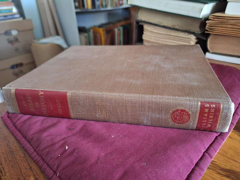 AN ATLAS OF ANATOMY - GRANT - fourth edition. Rare.1956