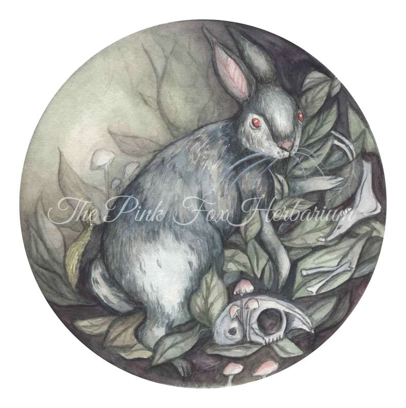 "Follow the Bones" Art print