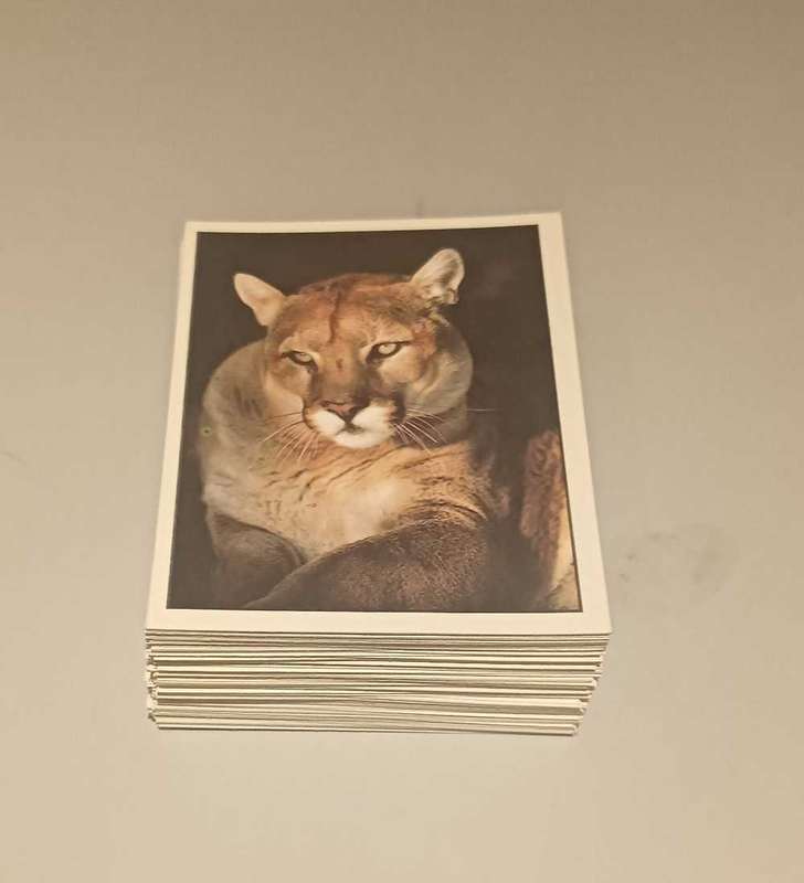Animals of the world Panini Stickers