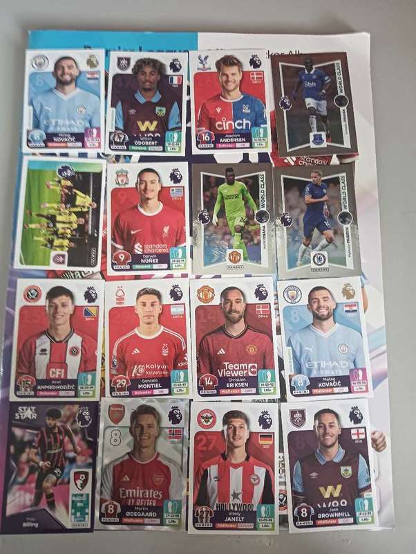 Panini English Premier League Soccer Qlbum