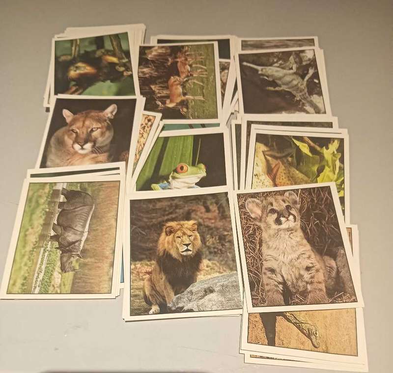 Animals of the world Panini Stickers