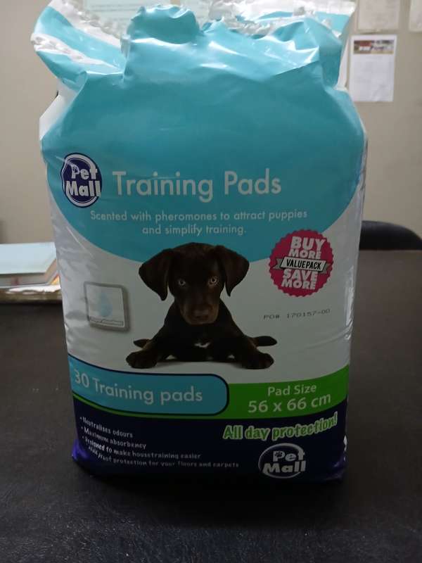 Pet Puppy Training Pad - 28 Training Pads (56 x 66cm)