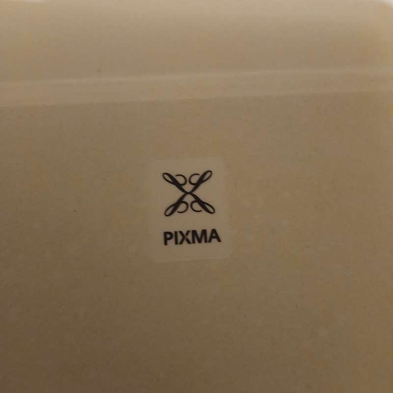 Canon PIXMA MG2940 * NEEDS INK *