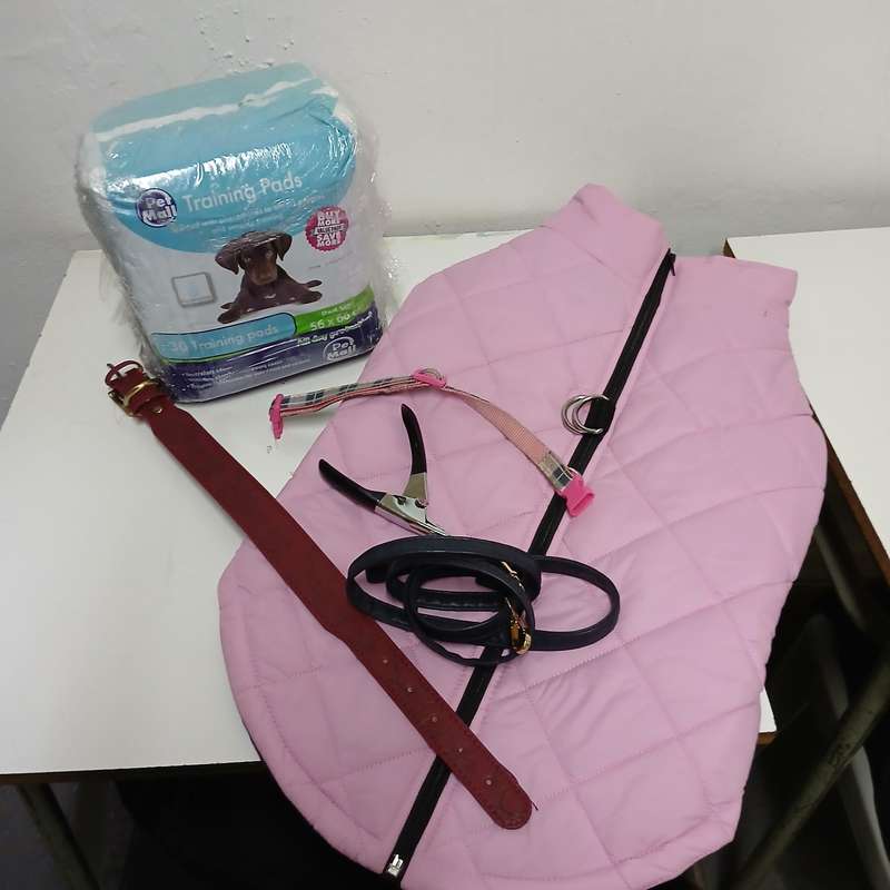 Pet accessories