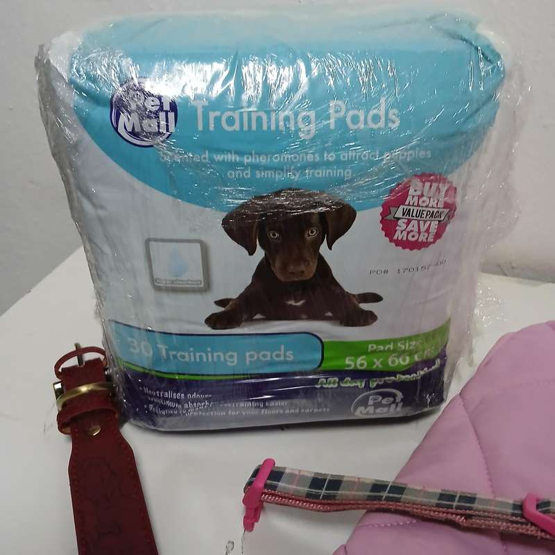 Pet accessories