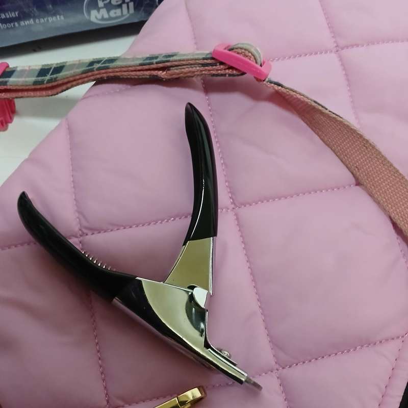 Pet accessories