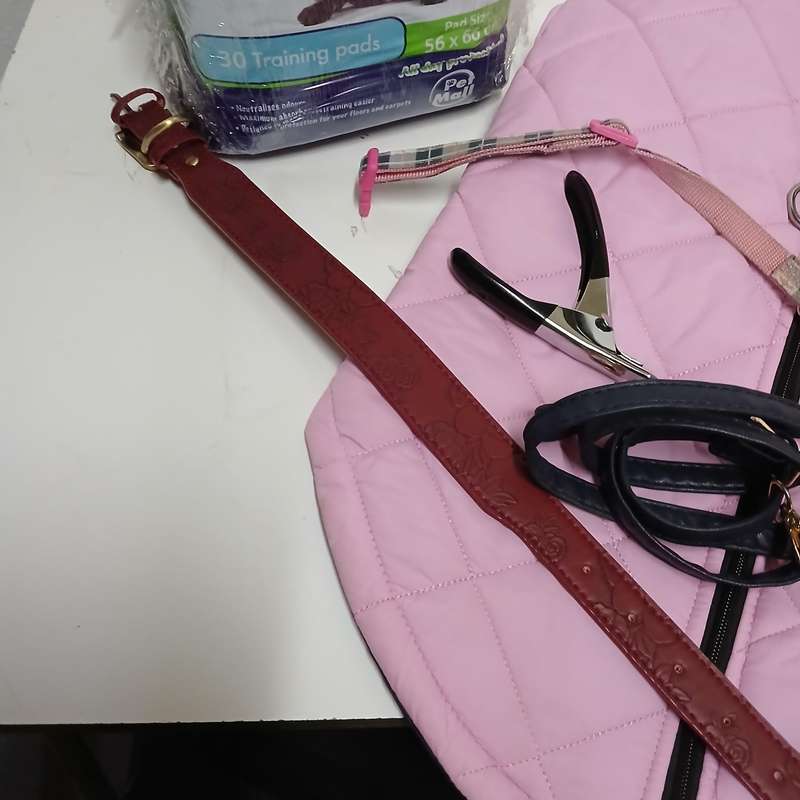 Pet accessories