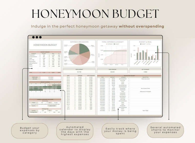 Ultimate Wedding Planner Excel and Google Sheet Tamplate