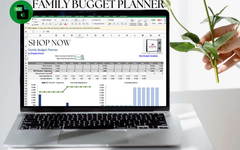 Family Budget Planner Excel Spread Sheet and Google Sheet