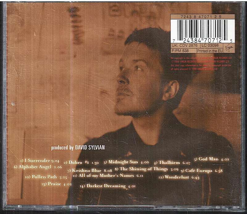 David Sylvian - Dead Bees on a Cake CD