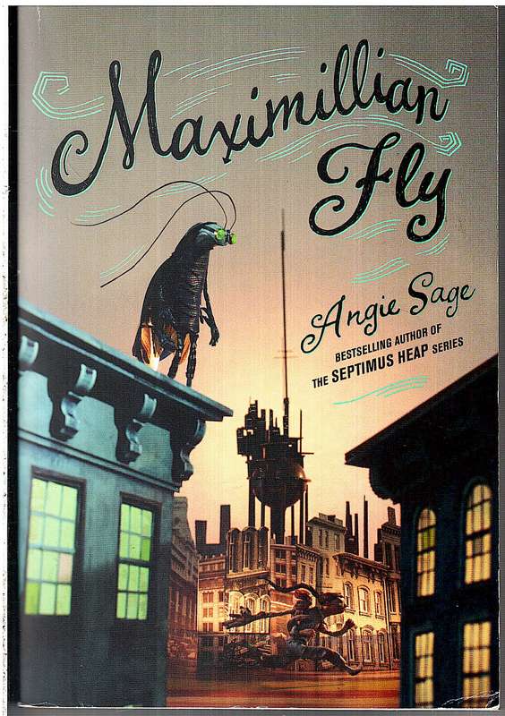 Maximillian Fly - Angie Sage