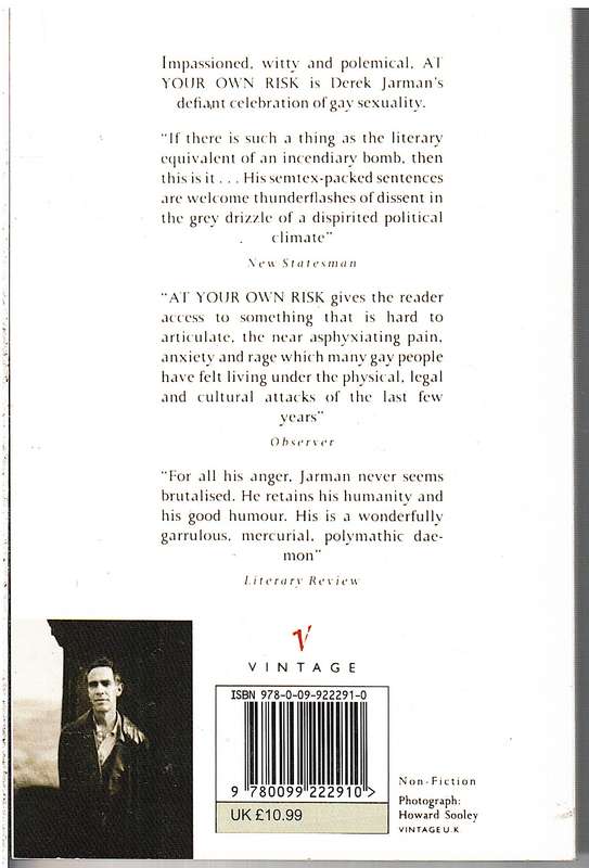 At Your Own Risk: A Saint's Testament - Derek Jarman