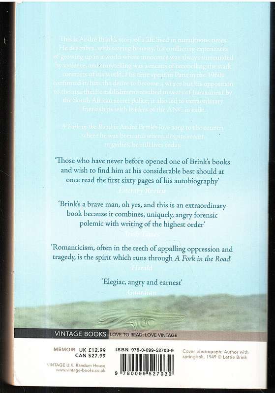 A Fork in the Road - Andre Brink