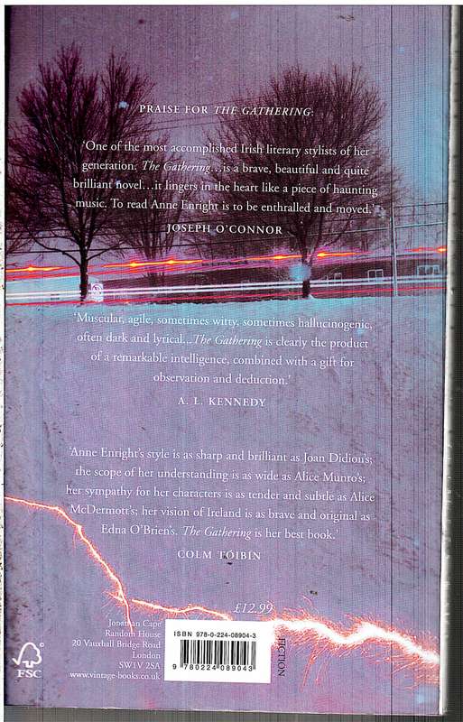 The Forgotten Waltz - Anne Enright