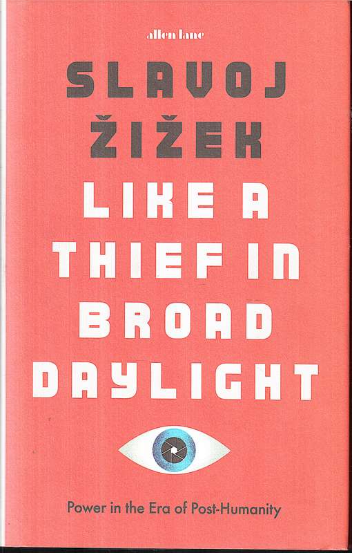 Like a Thief in Broad Daylight: Power in the Era of Post-Humanity - Slavoj Zizek