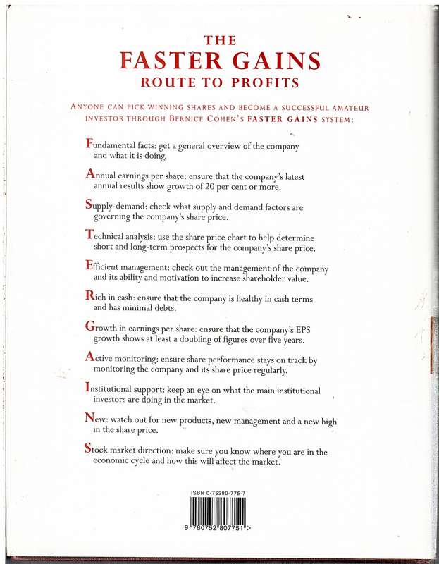 The Armchair Investor: A Do-it-Yourself Guide for Amateur Investors - Bernice Cohen