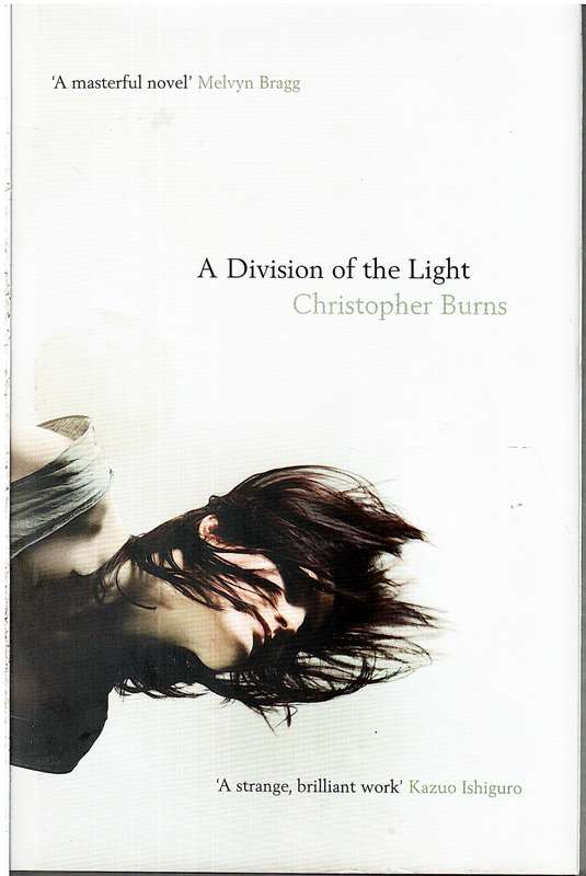 A Division of the Light - Christopher Burns