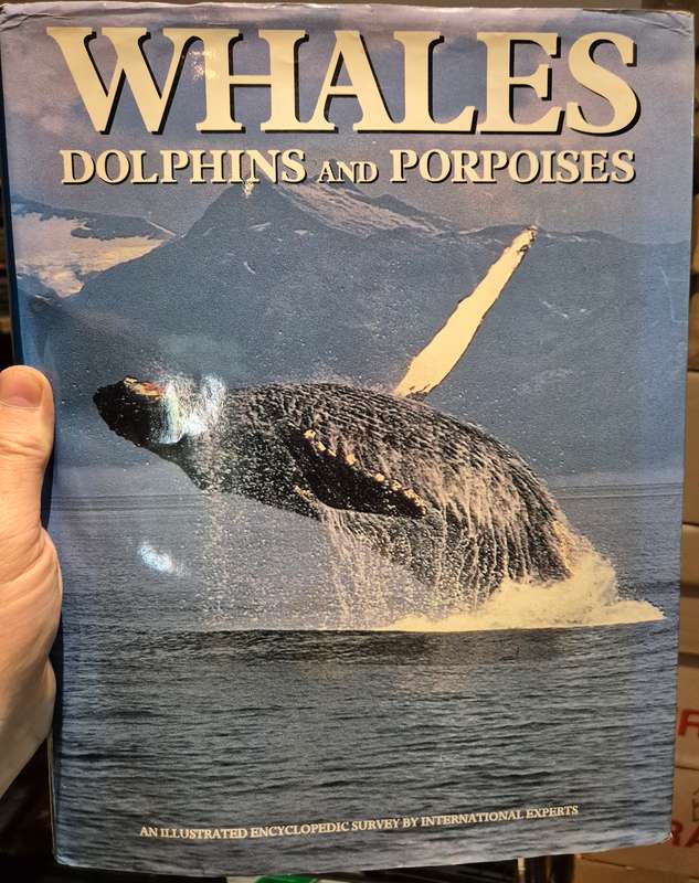 Whales, Dolphins and Porpoises