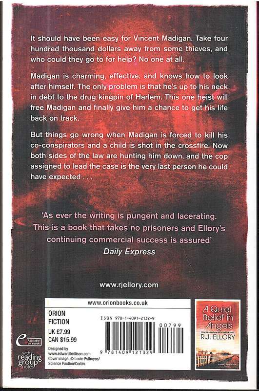 A Dark and Broken Heart - RJ Ellory
