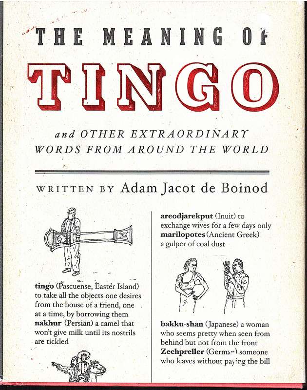 The Meaning of TINGO...and Other Extraordinary Words from Around the World - Adam Jacot de Boinod