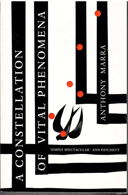 A Constellation of Vital Phenomena - Anthony Marra