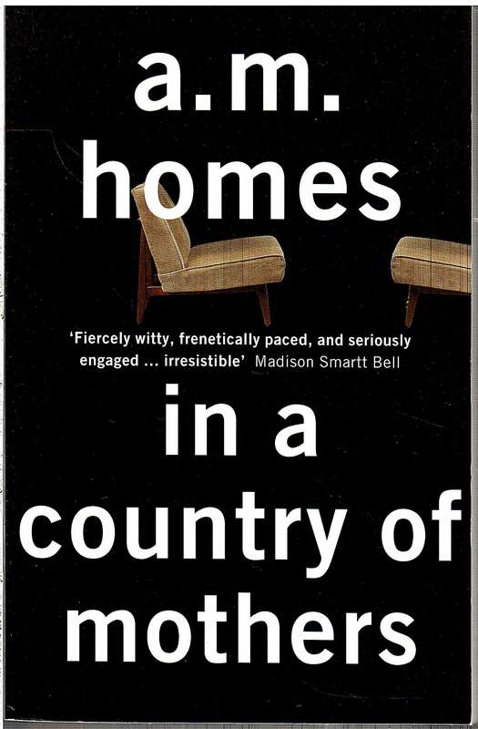 In a Country of Mothers - AM Homes