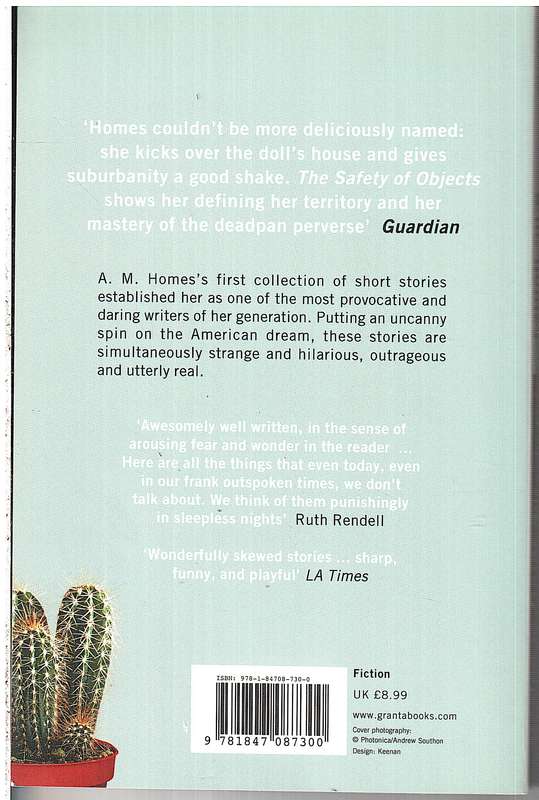 The Safety of Objects (Short Stories) - AM Homes