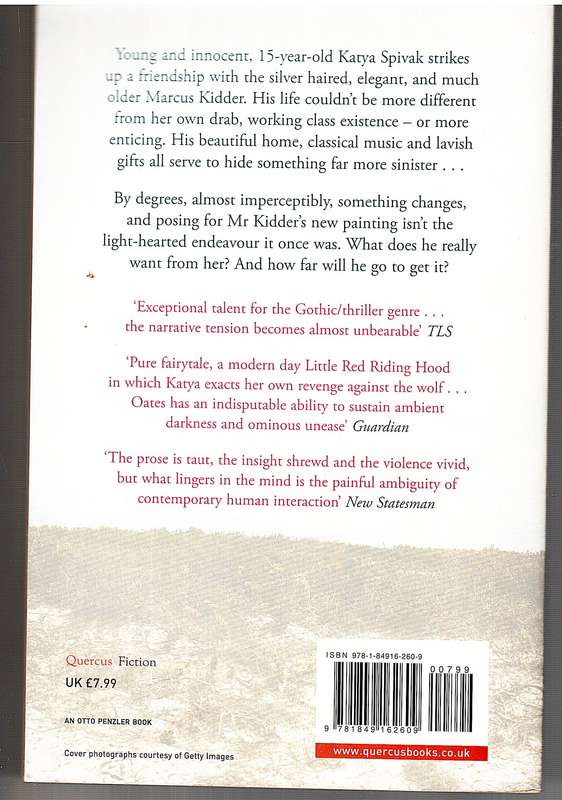 A Fair Maiden: A Tale of Dark Suspense - Joyce Carol Oates