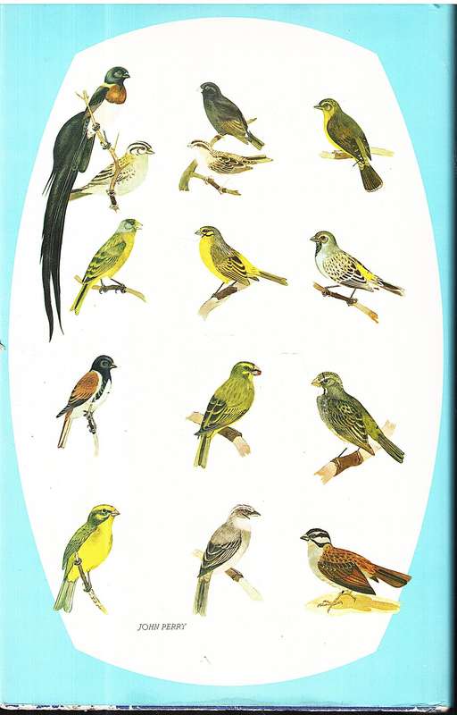 The Birds Around Us: The Commoner Birds of Southern Africa - GW Broekhuysen