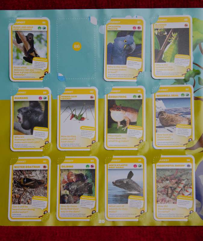 Pick 'n Pay Super Animals Activity & Collector's Album with Sound Card Reader