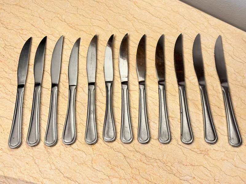 Stainless Steel Steak Knives Set of 12