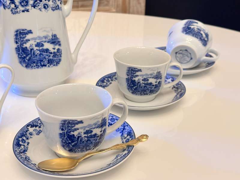 Beautiful Vintage William & James Staffordshire Porcelain Tea Set
