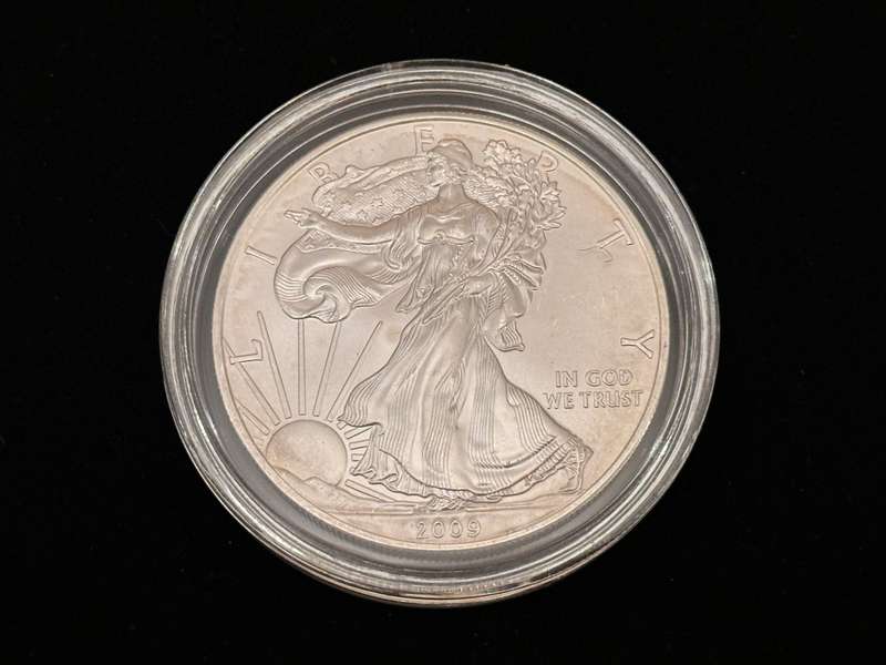 2009 USA 1oz Fine Silver Eagle Dollar in Capsule