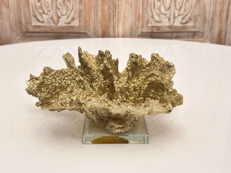 Exquisite Large Decor Coral Statement Piece