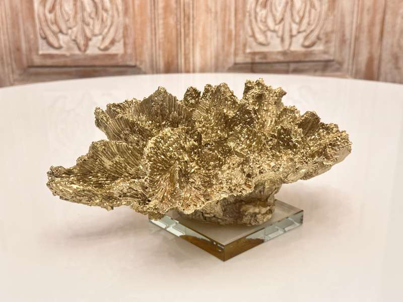 Exquisite Large Decor Coral Statement Piece