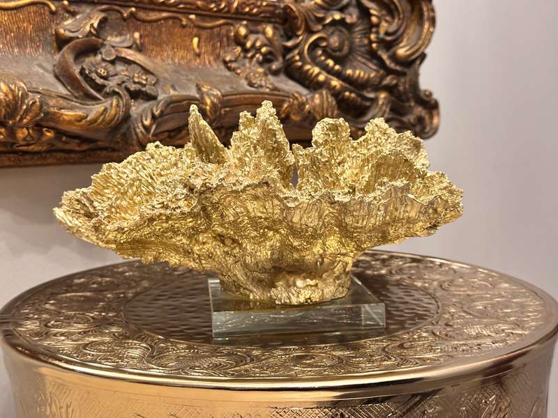 Exquisite Large Decor Coral Statement Piece