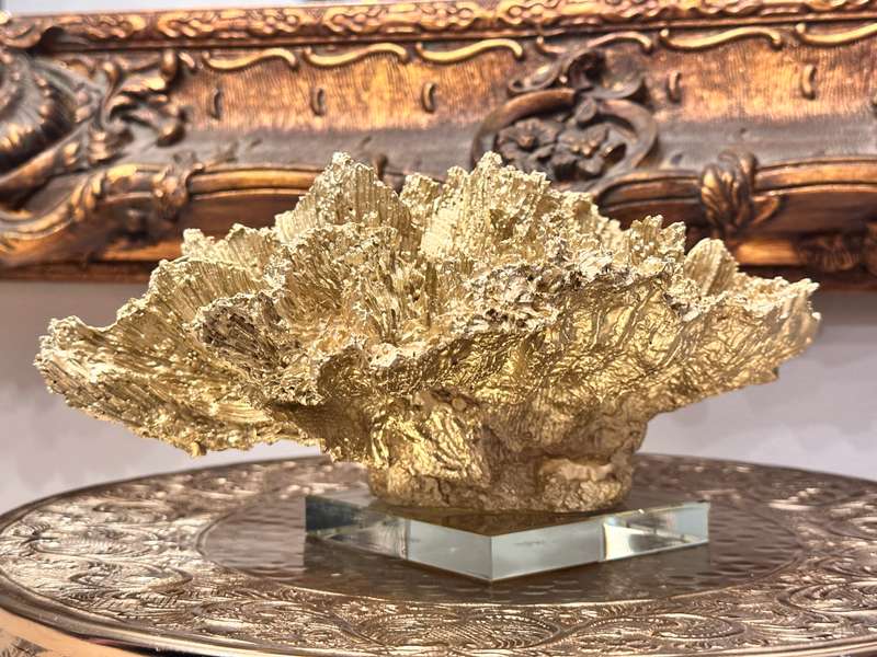 Exquisite Large Decor Coral Statement Piece