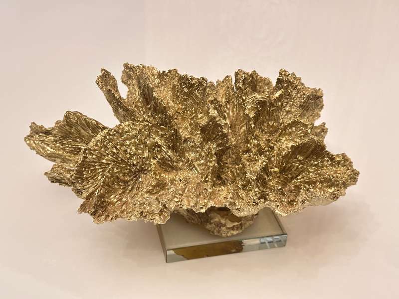 Exquisite Large Decor Coral Statement Piece