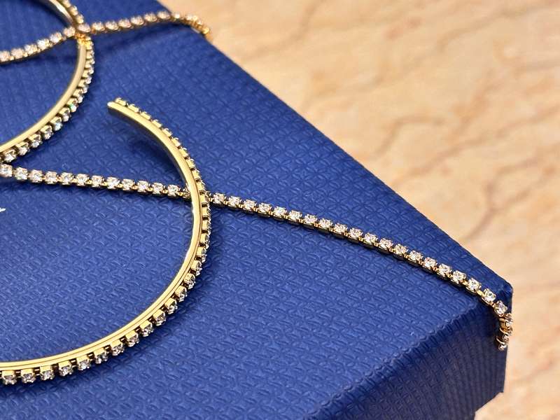 SWAROVSKI Statement Earrings
